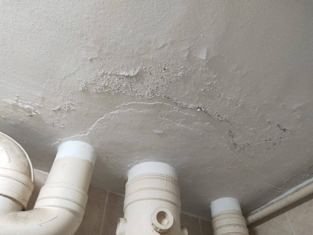 loss of toilet ceiling paint adhesion